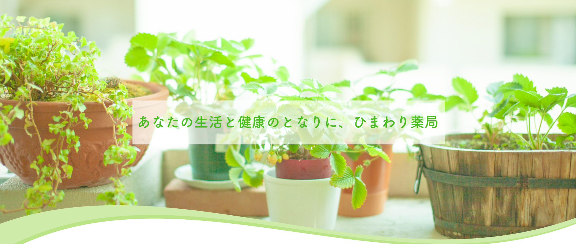 那須塩原市大原間、那須塩原駅、調剤薬局